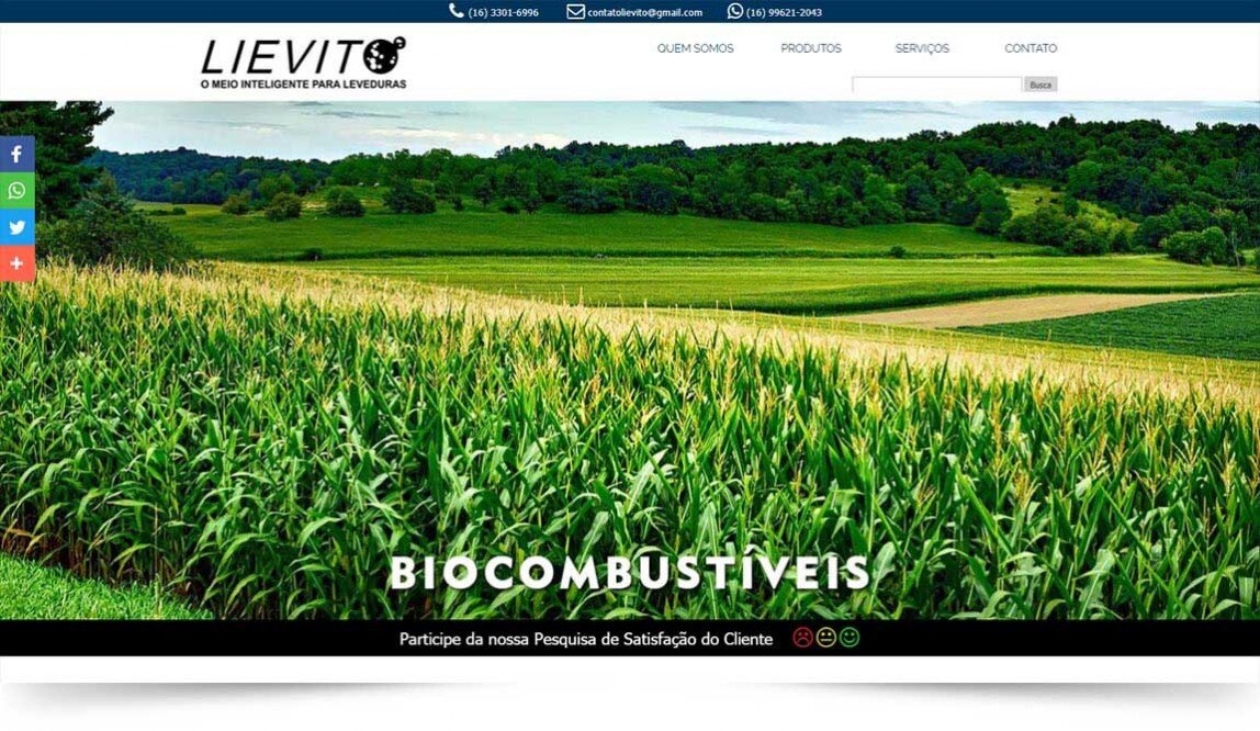 Imagem do website da Lievito Biotecnologia desenvolvido pela F55 Marketing Digital